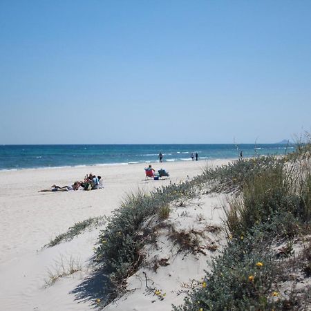 Higuericas 411 - Planta Baja - Vista Piscina - Cerca Playa Apartman Pilar de la Horadada Kültér fotó